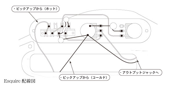 Esquire配線図