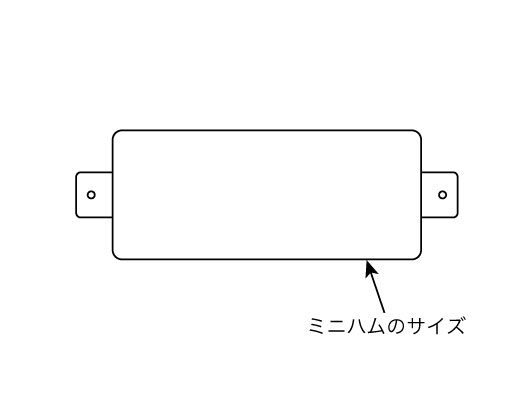 ミニハムのサイズ